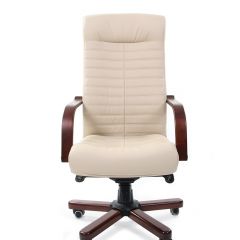 Кресло для руководителя CHAIRMAN 480 N WD (Экокожа) в Новом Уренгое - novyy-urengoy.mebel24.online | фото 2