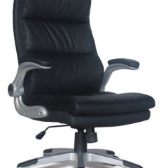 Кресло офисное BRABIX "Fregat EX-510" (рециклированная кожа, черное) 530863 в Новом Уренгое - novyy-urengoy.mebel24.online | фото 1