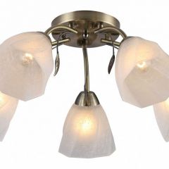 Потолочная люстра Rivoli Olivia Б0052693 в Новом Уренгое - novyy-urengoy.mebel24.online | фото