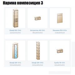 Прихожая Карина (модульная) в Новом Уренгое - novyy-urengoy.mebel24.online | фото 8