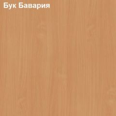 Шкаф для одежды большой Логика Л-8.1 в Новом Уренгое - novyy-urengoy.mebel24.online | фото 2