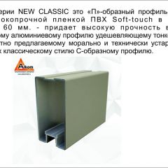 Шкаф-купе 1500 серии NEW CLASSIC K3+K3+B2+PL1 (2 ящика+1 штанга) профиль «Капучино» в Новом Уренгое - novyy-urengoy.mebel24.online | фото 5