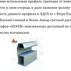 Шкаф-купе 1500 серии SILVER S4+S3Z+B2+PL1 (2 ящика+1 штанга) профиль «Серебро» в Новом Уренгое - novyy-urengoy.mebel24.online | фото 6
