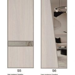 Шкаф-купе 1500 серии SILVER S4+S3Z+B2+PL1 (2 ящика+1 штанга) профиль «Серебро» в Новом Уренгое - novyy-urengoy.mebel24.online | фото 11