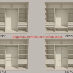 Шкаф-купе 2400 серии SOFT D5+D5+D5+B22+PL4 (по 2 ящика лев/прав+2штанги) профиль «Графит» в Новом Уренгое - novyy-urengoy.mebel24.online | фото 4