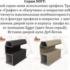 Шкаф-купе 2400 серии SOFT D7+D3+D3+B22+PL4 (по 2 ящика лев/прав+2штанги) профиль «Капучино» в Новом Уренгое - novyy-urengoy.mebel24.online | фото 13