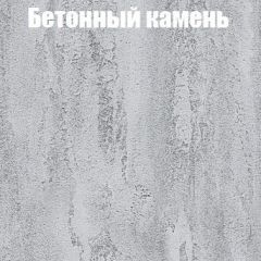Шкаф-купе Бассо 1.0 (Дуб Крафт серый/Бетонный камень) 2 двери ЛДСП в Новом Уренгое - novyy-urengoy.mebel24.online | фото 3