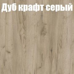 Шкаф-купе Бассо 1.0 (Дуб Крафт серый/Бетонный камень) 2 двери ЛДСП 1 зеркальная вставка в Новом Уренгое - novyy-urengoy.mebel24.online | фото 4