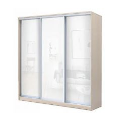 Шкаф-купе ХИТ 22-20/2-888 (620) в Новом Уренгое - novyy-urengoy.mebel24.online | фото 4