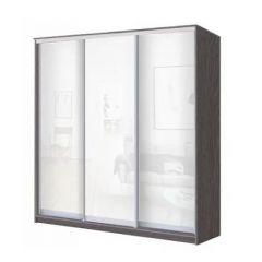 Шкаф-купе ХИТ 22-20/2-888 (620) в Новом Уренгое - novyy-urengoy.mebel24.online | фото 9