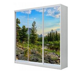 Шкаф-купе ХИТ 23-20/2-777 (620) в Новом Уренгое - novyy-urengoy.mebel24.online | фото