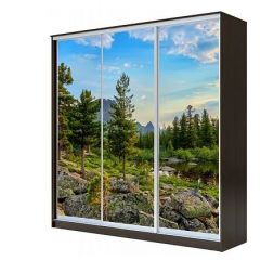 Шкаф-купе ХИТ 23-4-18-777 (420) в Новом Уренгое - novyy-urengoy.mebel24.online | фото 1