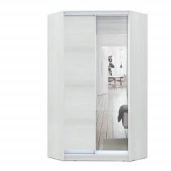 Шкаф-купе ХИТ-У-L-24-64-15 в Новом Уренгое - novyy-urengoy.mebel24.online | фото
