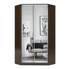 Шкаф-купе ХИТ-У-R-23-64-55 в Новом Уренгое - novyy-urengoy.mebel24.online | фото 1