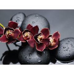 Стол обеденный Бостон Ст101.1 орхидеи в Новом Уренгое - novyy-urengoy.mebel24.online | фото 3
