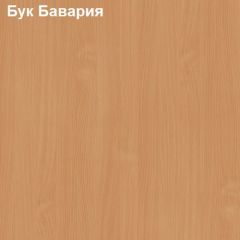 Стол приставной выкатной Логика Л-6.11 (Тумба мобильная) в Новом Уренгое - novyy-urengoy.mebel24.online | фото 2