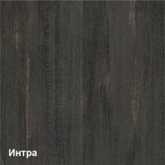 Трувор Шкаф 13.204 в Новом Уренгое - novyy-urengoy.mebel24.online | фото 3