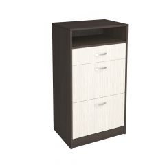 Обувница Вега ОБ-3 в Новом Уренгое - novyy-urengoy.mebel24.online | фото