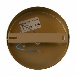 Бра Freya Zelda FR5124WL-01BS в Новом Уренгое - novyy-urengoy.mebel24.online | фото 6