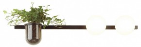 Бра Odeon Light Flower 4681/2W в Новом Уренгое - novyy-urengoy.mebel24.online | фото 3