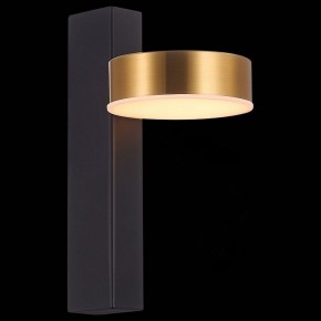 Бра ST-Luce Pances SL6000.301.01 в Новом Уренгое - novyy-urengoy.mebel24.online | фото 4