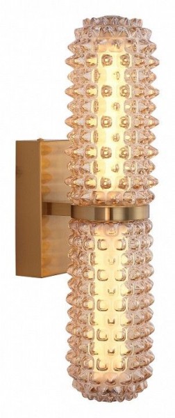 Бра ST-Luce SAGUARO SL6144.301.01 в Новом Уренгое - novyy-urengoy.mebel24.online | фото 2