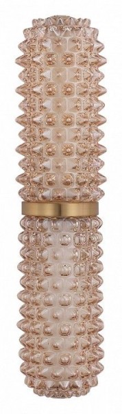 Бра ST-Luce SAGUARO SL6144.301.01 в Новом Уренгое - novyy-urengoy.mebel24.online | фото 4
