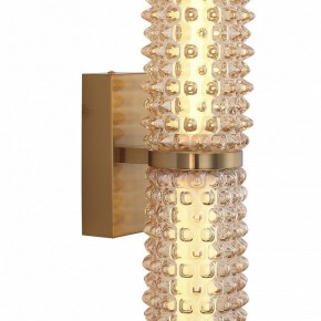 Бра ST-Luce SAGUARO SL6144.301.01 в Новом Уренгое - novyy-urengoy.mebel24.online | фото 6