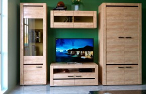 БЬЯНКА НКМ Гостинная (модульная) дуб баррик в Новом Уренгое - novyy-urengoy.mebel24.online | фото 1