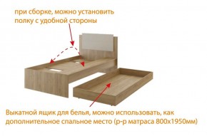 Дуглас (подростковая) М14 Кровать в Новом Уренгое - novyy-urengoy.mebel24.online | фото 5