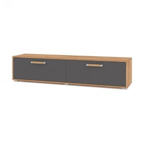 ФЛОРИДА Ф31 Тумба ТВ (дуб золотой/графит) в Новом Уренгое - novyy-urengoy.mebel24.online | фото