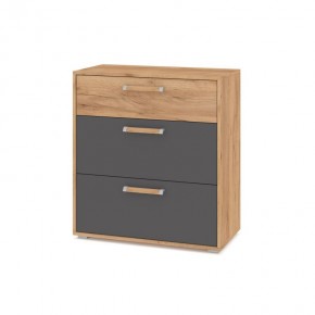 ФЛОРИДА Ф41 Комод (дуб золотой/графит) в Новом Уренгое - novyy-urengoy.mebel24.online | фото