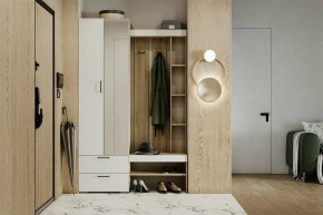 Гарнитур для прихожей Торонто в Новом Уренгое - novyy-urengoy.mebel24.online | фото 5