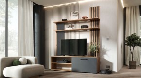 КАРОЛИНА Гостиная в Новом Уренгое - novyy-urengoy.mebel24.online | фото