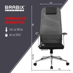 Кресло офисное BRABIX PREMIUM "Ultimate EX-801" хром, плотная двойная сетка Х2, черное/серое, 532918 в Новом Уренгое - novyy-urengoy.mebel24.online | фото 5