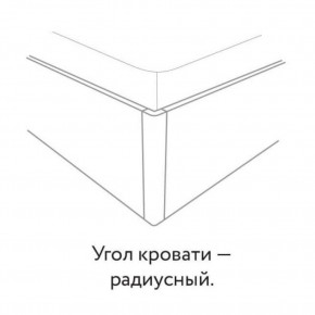 НАОМИ Кровать БЕЗ основания 1600х2000 в Новом Уренгое - novyy-urengoy.mebel24.online | фото 3