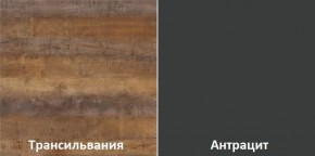 Кухонный гарнитур угловой Трансильвания 2600х1600 мм (Стол. 38 мм) в Новом Уренгое - novyy-urengoy.mebel24.online | фото 3