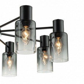 Люстра на штанге Escada Diversity 2120/8P Black в Новом Уренгое - novyy-urengoy.mebel24.online | фото 5