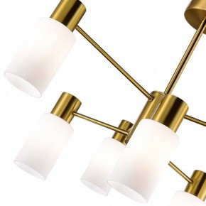 Люстра на штанге EVOLUCE Gessi SLE1139-302-06 в Новом Уренгое - novyy-urengoy.mebel24.online | фото 3