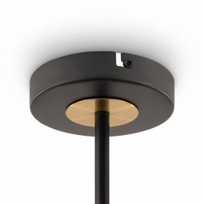 Люстра на штанге Freya Hats FR5370CL-04B в Новом Уренгое - novyy-urengoy.mebel24.online | фото 6