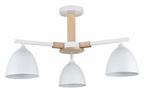 Люстра на штанге Lumion Colange 8095/3C в Новом Уренгое - novyy-urengoy.mebel24.online | фото