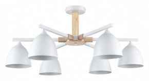 Люстра на штанге Lumion Colange 8095/6C в Новом Уренгое - novyy-urengoy.mebel24.online | фото