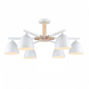 Люстра на штанге Lumion Colange 8095/6C в Новом Уренгое - novyy-urengoy.mebel24.online | фото 2