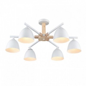 Люстра на штанге Lumion Colange 8095/6C в Новом Уренгое - novyy-urengoy.mebel24.online | фото 3