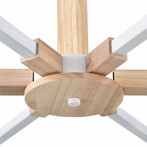 Люстра на штанге Lumion Colange 8095/6C в Новом Уренгое - novyy-urengoy.mebel24.online | фото 7