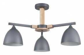 Люстра на штанге Lumion Colange 8096/3C в Новом Уренгое - novyy-urengoy.mebel24.online | фото