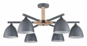 Люстра на штанге Lumion Colange 8096/6C в Новом Уренгое - novyy-urengoy.mebel24.online | фото