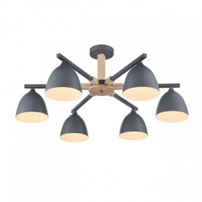 Люстра на штанге Lumion Colange 8096/6C в Новом Уренгое - novyy-urengoy.mebel24.online | фото 3