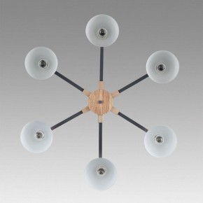 Люстра на штанге Lumion Colange 8096/6C в Новом Уренгое - novyy-urengoy.mebel24.online | фото 4