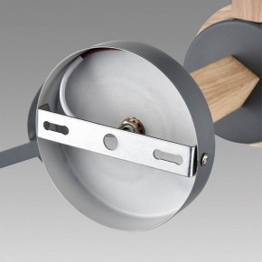Люстра на штанге Lumion Colange 8096/6C в Новом Уренгое - novyy-urengoy.mebel24.online | фото 6